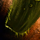 Marsh Drake Broodmother Scale.png