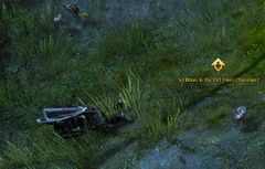 Scribbles in the Dirt.jpg