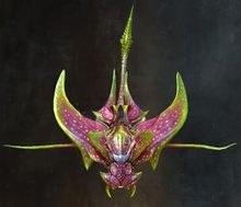 Spotted Orchid 2.jpg