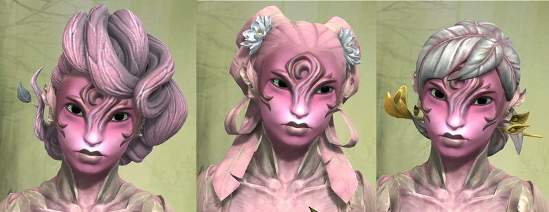 File:Sylvari female hair styles 2.jpg