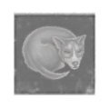 Thumbnail for version as of 19:18, 13 November 2018