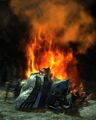 Thumbnail for version as of 23:31, 21 July 2025