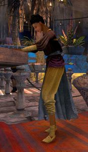 Dealer (merchant).jpg