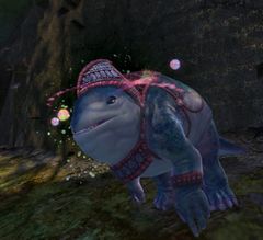 Displaced Quaggan.jpg
