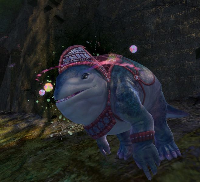 File:Displaced Quaggan.jpg