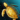 Gift of Shipwreck Strand Exploration.png