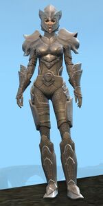 Appearance on heavy armor.