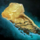 Knuckle Salve.png
