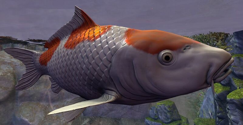 File:Koi (variant 1).jpg