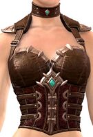 Krytan Rogue Chestpiece.jpg