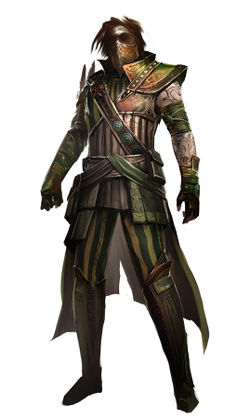 Medium heritage armor ca.jpg