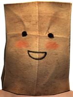 Paper Bag Helm (Blush).jpg
