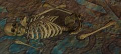 Remains (The Hero of Istan).jpg