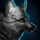 Ring-Tailed Vulpine Jackal Skin.png