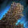 Stained Tent Canvas.png