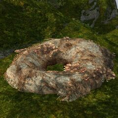 Abandoned Skyscale Nest.jpg
