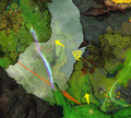 Thumbnail for version as of 15:53, 18 March 2024
