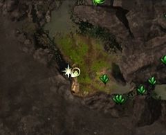 Club location.jpg