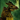 Deluxe Wyvern Trophy.png