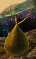 Gold Ooze