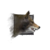 Juvenile Wolf.png