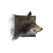 Juvenile Wolf.png