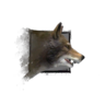 Juvenile Wolf.png