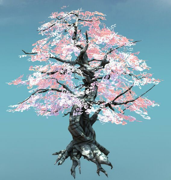 File:Large Canthan Cherry Tree.jpg