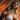 Mini Southsun Kasmeer.png