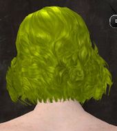 Unique norn female hair back 1.jpg