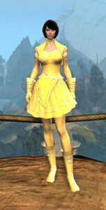 Appearance on light armor.