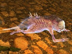 Ascalon Ghost Minion (phantasm).jpg