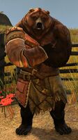 Brown Lowland Kodan (shoulder crossed arms).jpg