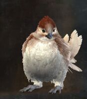 Canthan Cuckoo Springer Skin.jpg