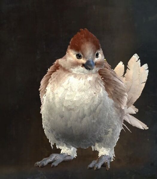 File:Canthan Cuckoo Springer Skin.jpg