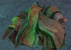 Dirty Rags.jpg