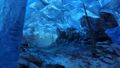 Beneath Drakkar Lake.