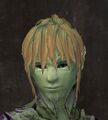 Exclusive hair - sylvari male 12.jpg