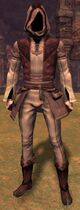 Light armor professions of humans, norn, and sylvari