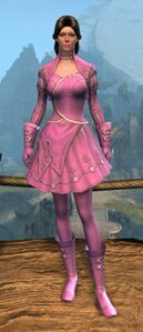 Appearance on light armor.