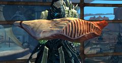 Hunk of Meat.jpg