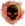 Jade Maw agony attack.png
