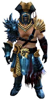 Scallywag armor norn male front.jpg