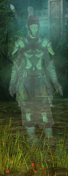 File:Spirit of the Berserker.jpg