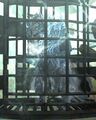 Imprisoned Bangar in Eye of the North.