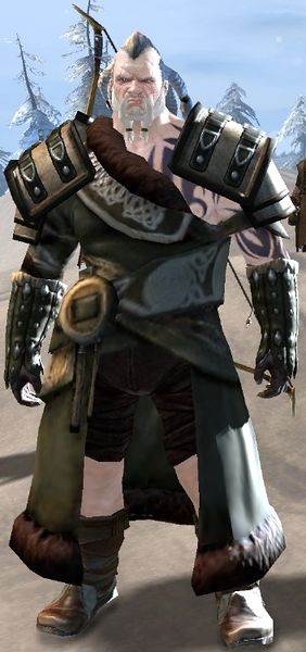 File:Brawler (Norn male).jpg