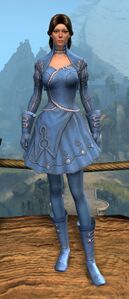 Appearance on light armor.