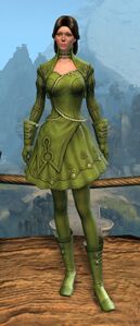 Appearance on light armor.