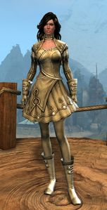 Appearance on light armor.