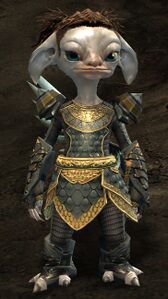 Explorer Bekk.jpg